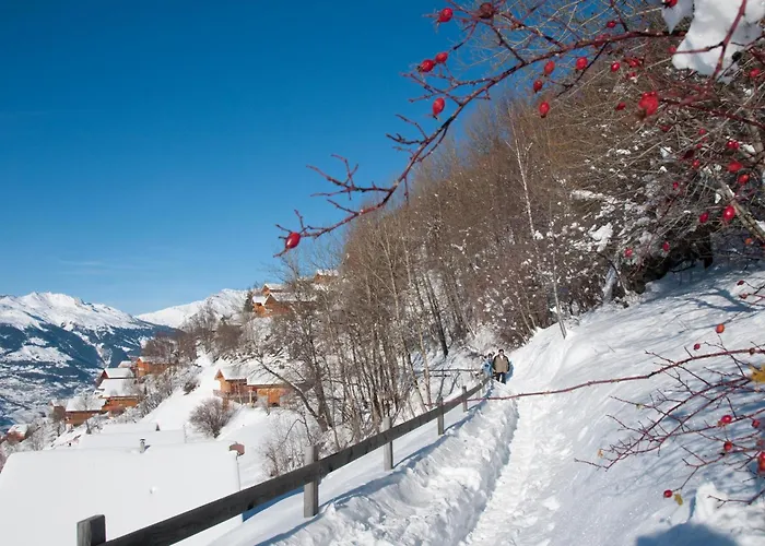 Appartement Plein Ciel Va 051 - Mountain 8 Pers Veysonnaz